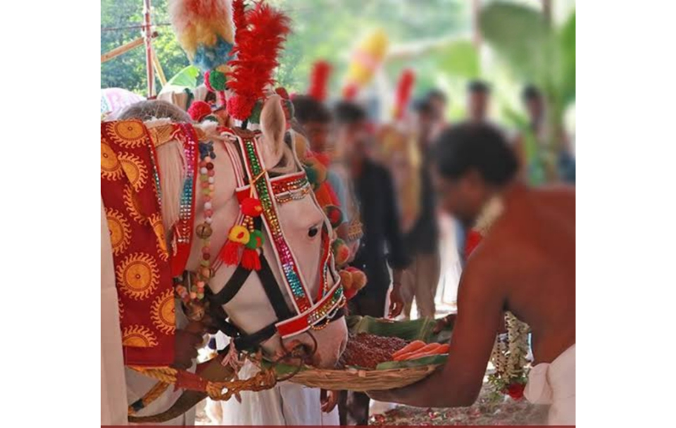 Ashwa pooja