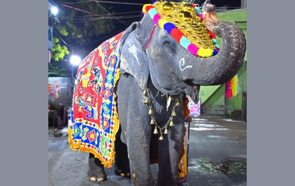 Gaja Pooja