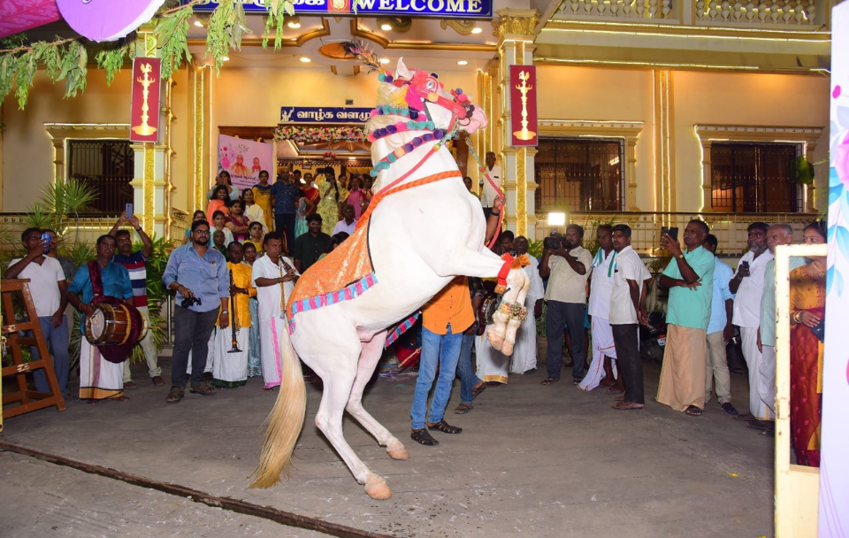 Dancing Horse